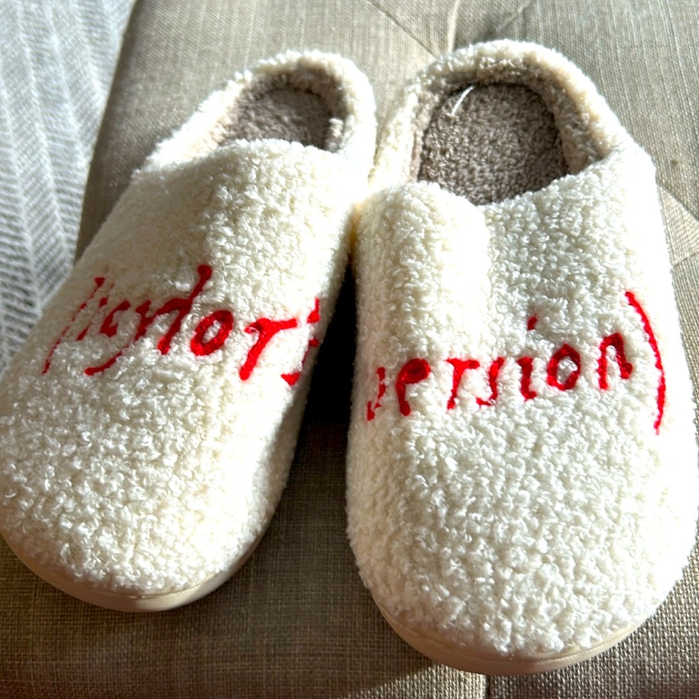 Adorable slippers "Taylor's Version"